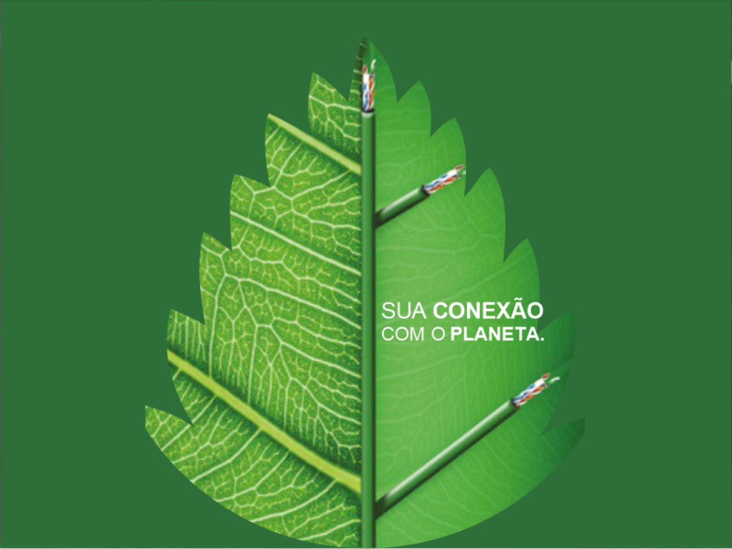 Você já conhece os cabos Green Lightera?